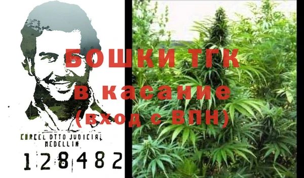 ALPHA PVP Инсар