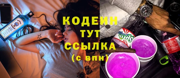 стаф Краснослободск