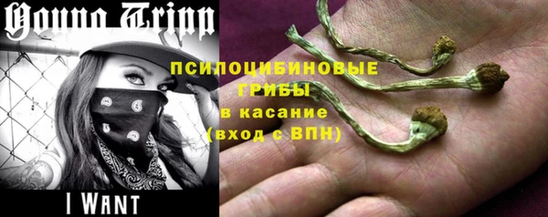 стаф Краснослободск