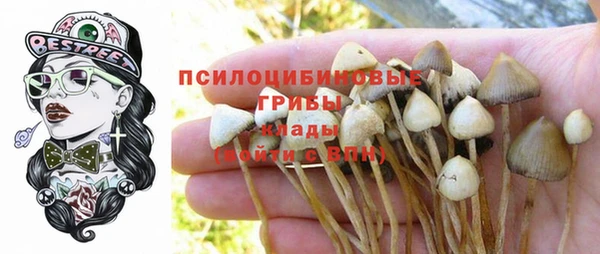 стаф Краснослободск